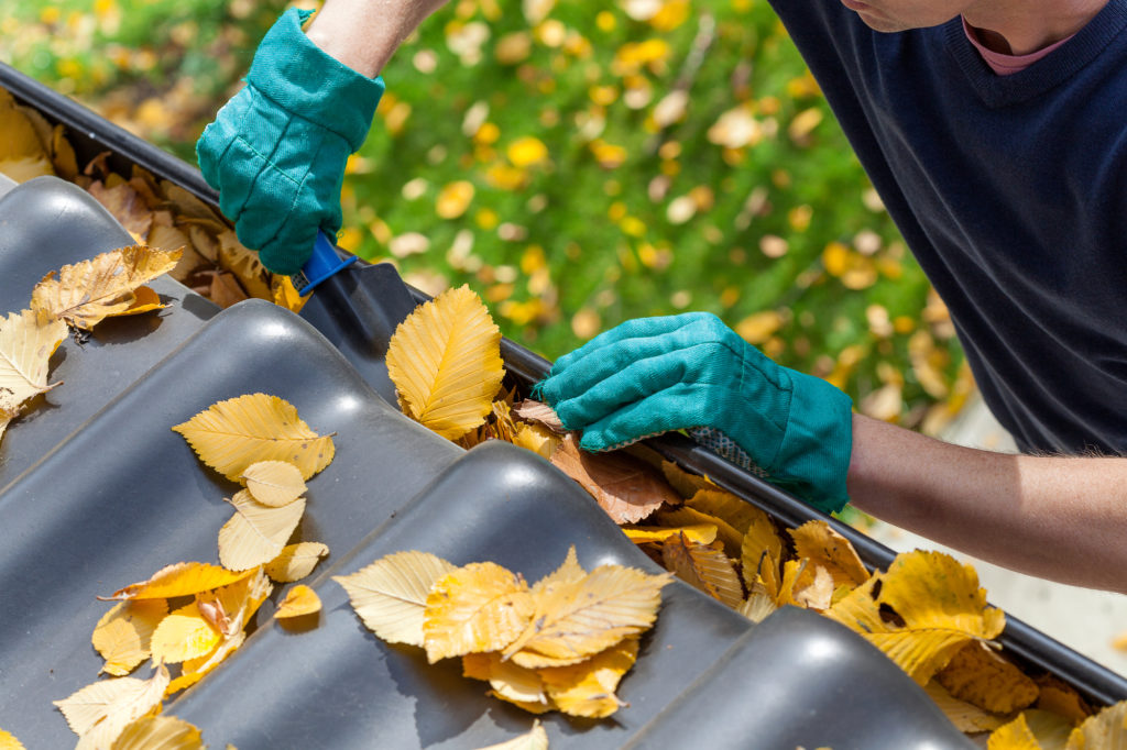 Gutter Cleaning Service 2 2